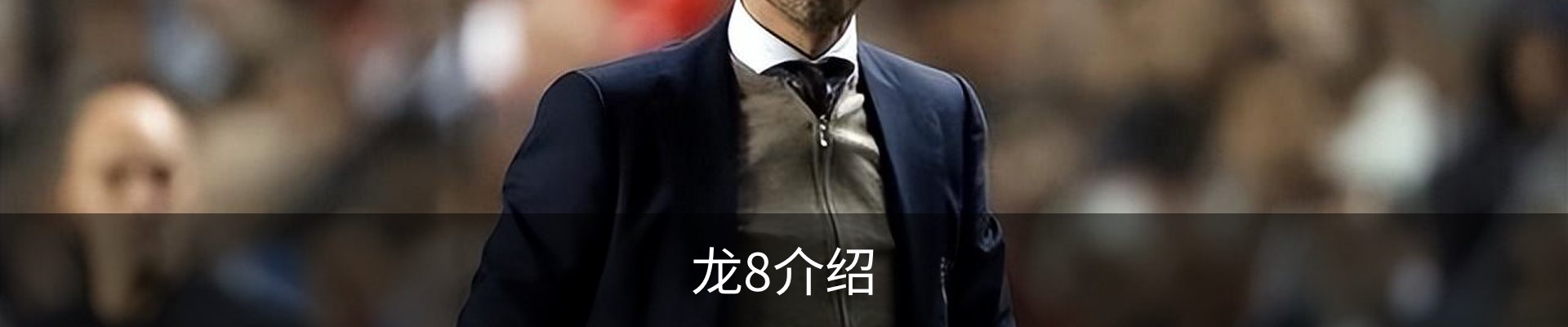 龙8介绍