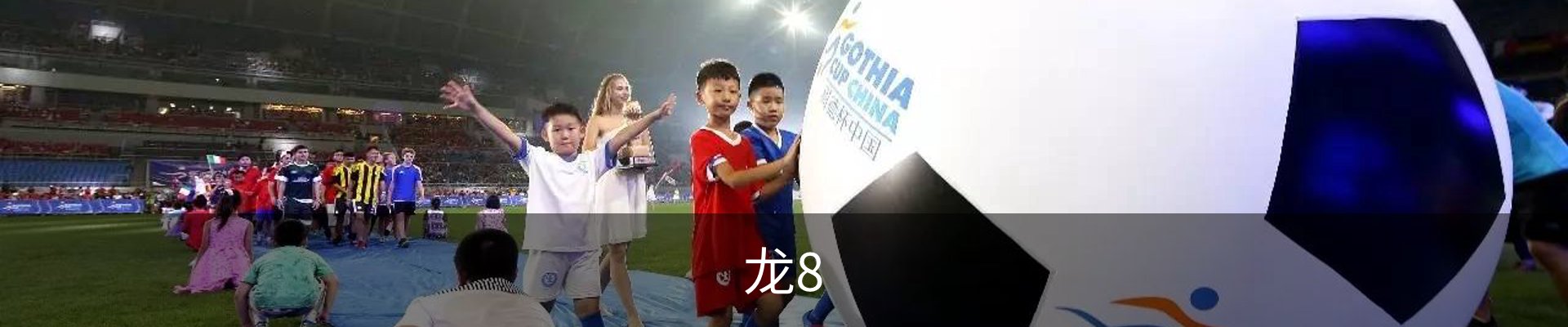 龙8
